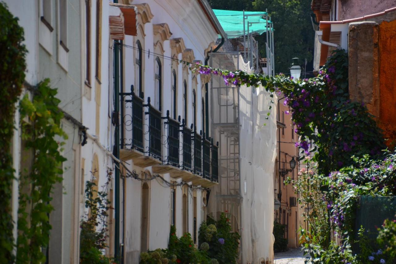 Vila Quintinha Vale Dos Pinheiros Leiria Exteriér fotografie